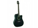 Takamine EG321C akustična gitara akustična gitara