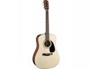 Fender CD-60. Natural. Spruce Top. Nato Back/Sides