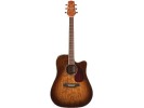 Takamine EG333C-LTD ** akustična gitara akustična gitara