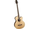 Takamine EGB2S-N bas gitara bas gitara