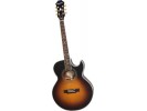 Epiphone PR-5e Vint. Sunburst Gld Hdwe Vintage Sunburst Gold akustična gitara akustična gitara