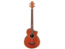 Ibanez EWB30PDE-RLG bas gitara bas gitara