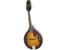 Epiphone MM-30 Mandolin Ant. Sunburst Gld Hdwe Antique Sunburst Gold