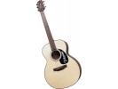 Takamine G220 ** akustična gitara akustična gitara