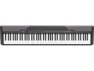 Casio CDP-100