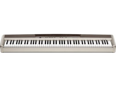 Casio PX-120        