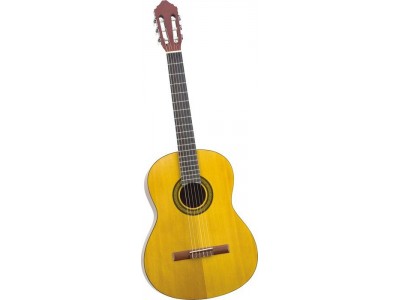 Takamine Jasmine C20 Takamine Jasmine C20