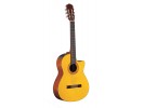 Takamine EG124C