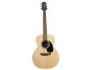 Takamine G220