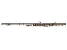 Yamaha YFL-221 *
