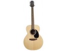 Takamine G220S