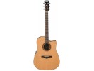 Ibanez AW250ECE-LG akustična gitara akustična gitara
