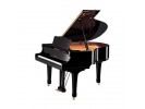 Yamaha C1X Polished Ebony