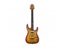 ESP/LTD H-101FM
