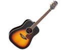 Takamine GD71-BSB
