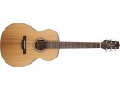 Takamine GN20-NS