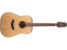 Takamine GD20-NS sa futrolom