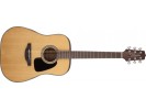 Takamine GD10-NS