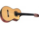 Takamine TH90