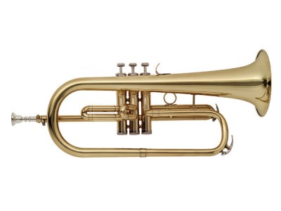 Stagg WS-FH215S Stagg WS-FH215S