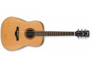Ibanez AW250-LG *