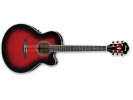 Ibanez AEL20E-TRS akustična gitara akustična gitara