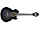 Ibanez AEL20E-TKS akustična gitara akustična gitara