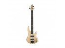ESP/LTD B-1004