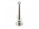 ESP/LTD F-105