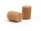 Planet Waves PWEP100 100 PW EAR PLUGS