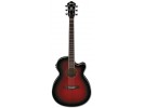 Ibanez AEG10II-TRS akustična gitara akustična gitara