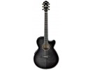 Ibanez AEG24II-TGB akustična gitara akustična gitara