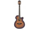 Ibanez AEG40II-OAB akustična gitara akustična gitara
