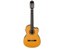 Ibanez GA6CE-AM