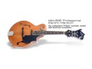 Epiphone MM-50E Professional Electric "F-Style" Mandolin VINTAGE NATURAL