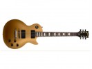 Gibson LPJ Rubbed Gold top dark back low gloss * električna gitara električna gitara