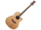 Ovation CS24P-4Q CELEBRITY STANDARD PLUS akustična gitara akustična gitara