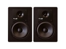 Fluid Audio Classic C5 Black