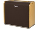Fender Acoustic Pro