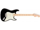 Fender American Pro Stratocaster, Maple Fingerboard, Black