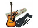 Ibanez V50NJP-VS