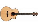 Ibanez AEW21VK-NT * akustična gitara akustična gitara