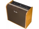 Fender Acoustic 200 230V EU