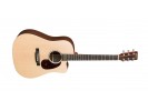 Martin DCX1RAE akustična gitara akustična gitara