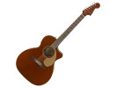 Fender NEWPORTER PLAYER RSC WN akustična gitara akustična gitara