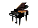 Yamaha GC1 polished ebony