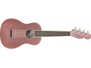 Fender Zuma Classic Concert Uke BGM WN