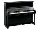 Yamaha U1 Q