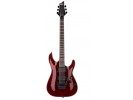 Schecter Damien Special