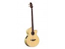 Takamine EG512C